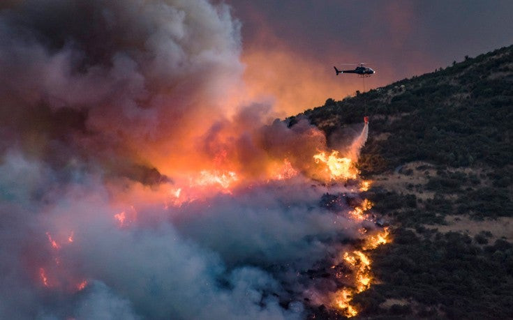 Κι όμως ακόμα και τα ζώα προκαλούν εμπρησμούς – Πως ένα γεράκι και ένα φίδι ξεκίνησαν μία μεγάλη φωτιά